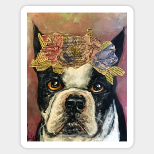 Frenchie Sticker